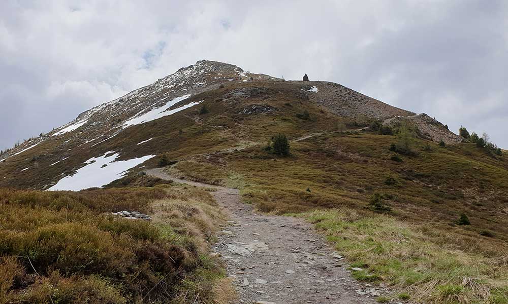 Krahbergzinken