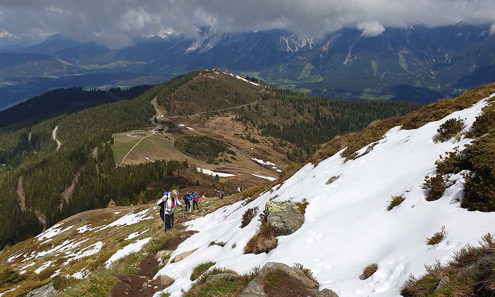 Krahbergzinken