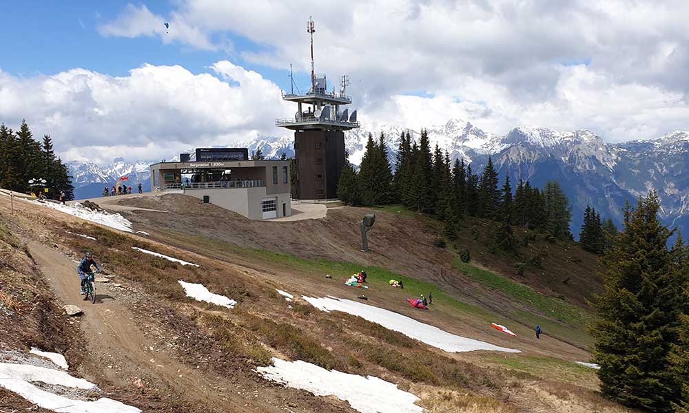 Krahbergzinken