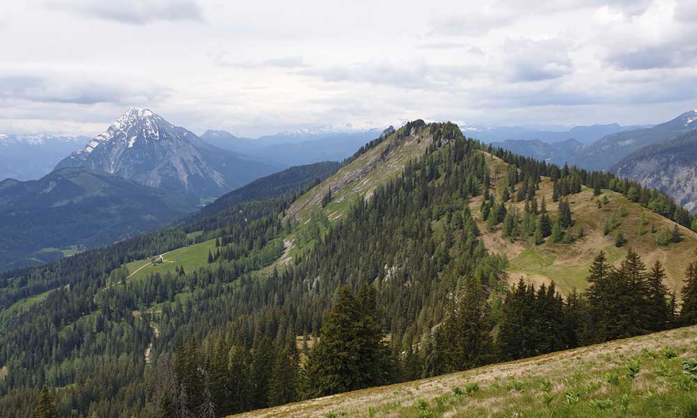 Bärenfeuchtmölbing