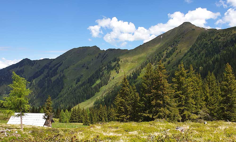Schoberspitze
