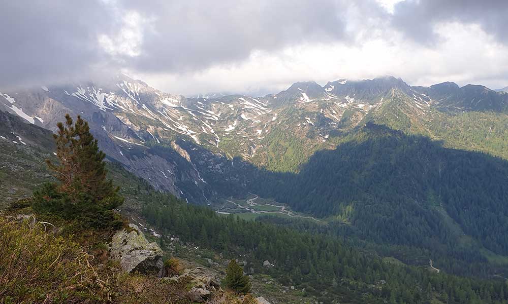 Kampspitze