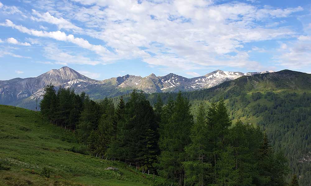 Gollitschspitze