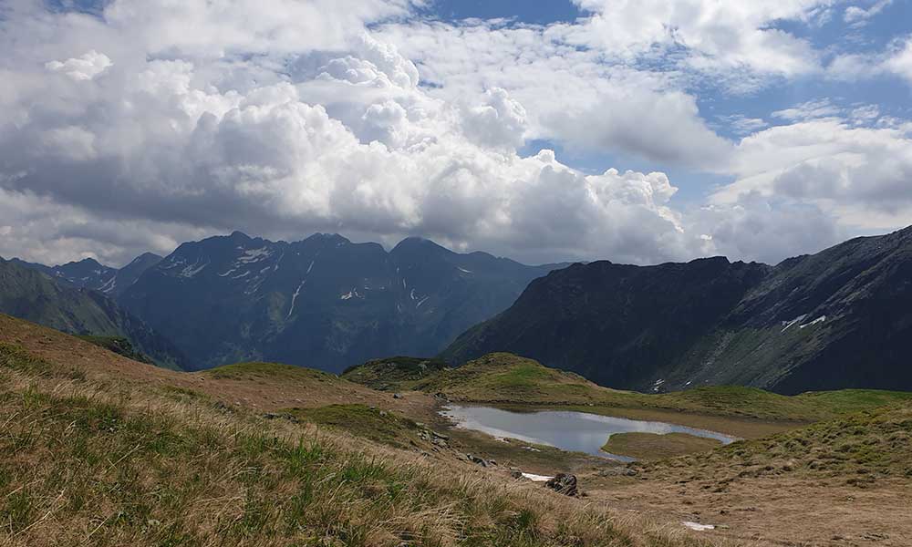 Gollitschspitze