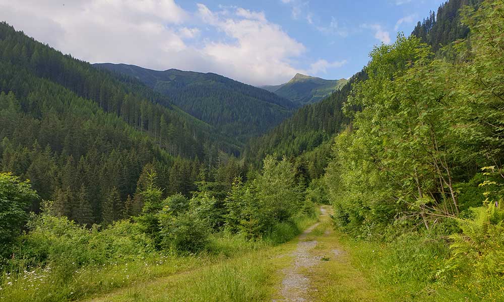 Geierkogel