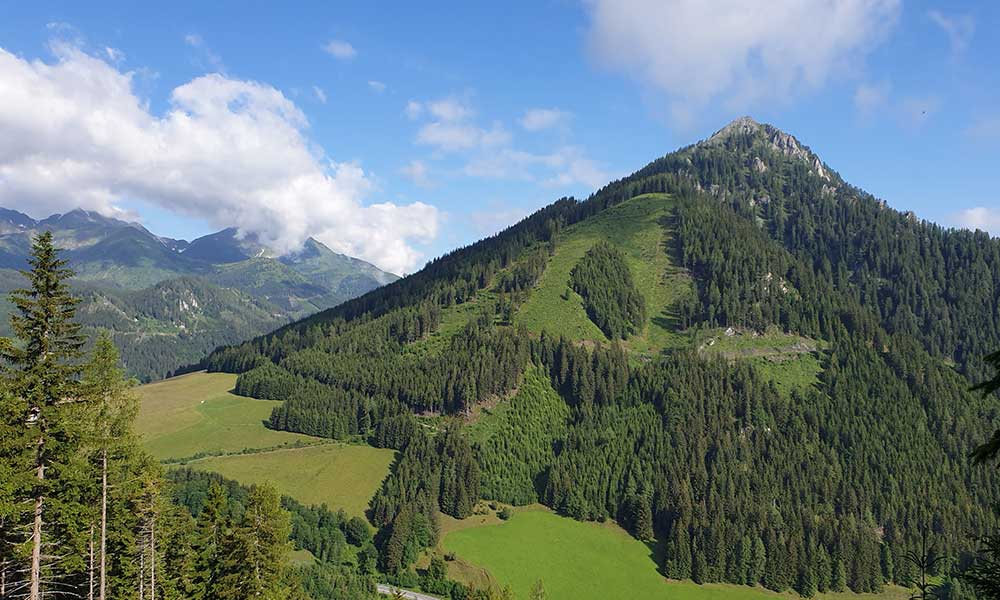 Geierkogel