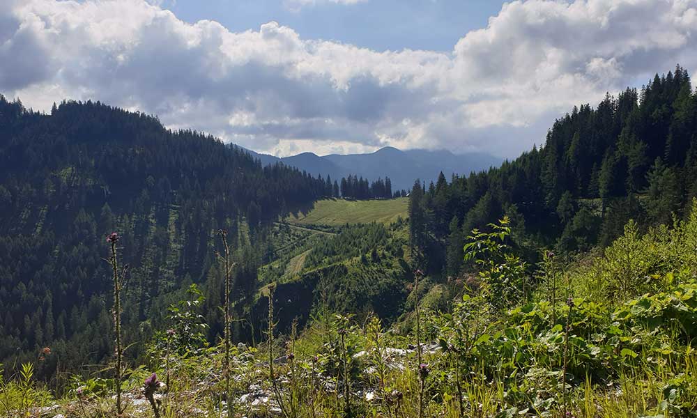 Geierkogel