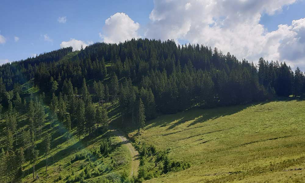 Geierkogel