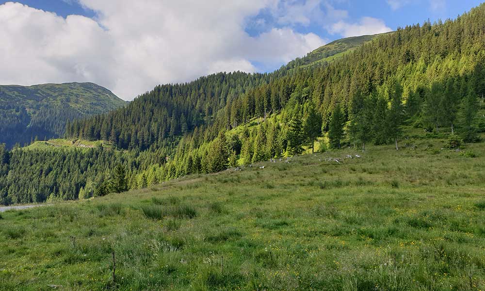 Geierkogel