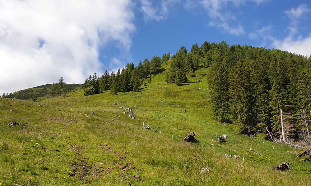 Geierkogel