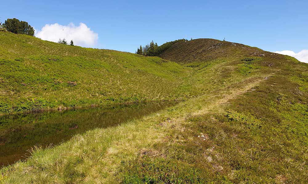 Geierkogel