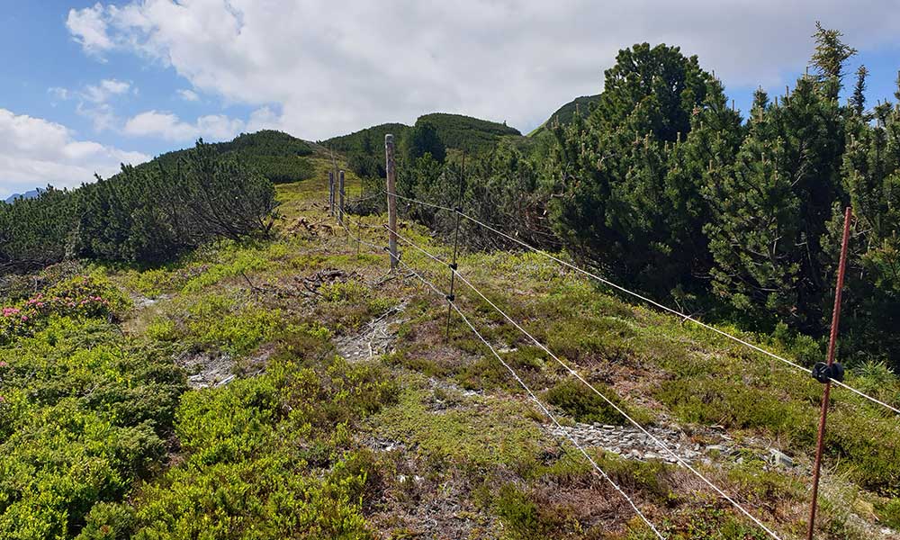 Geierkogel