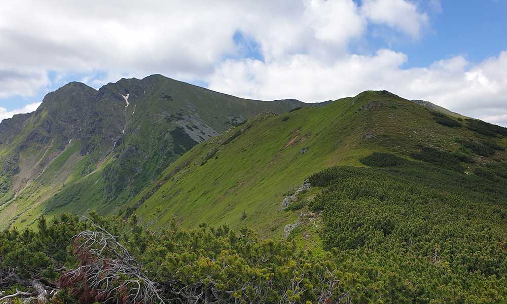 Geierkogel