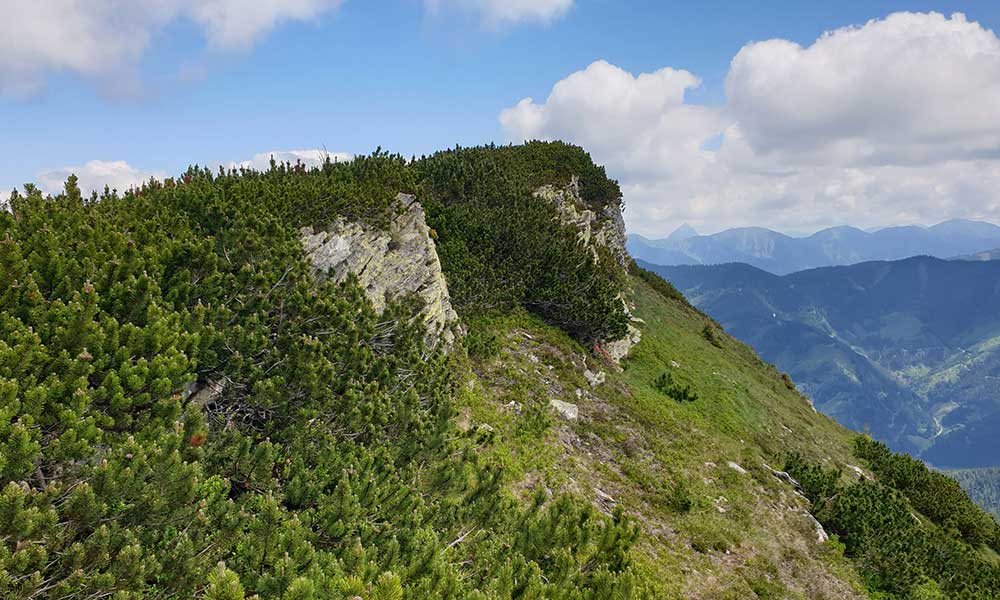 Geierkogel