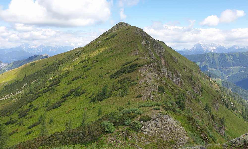 Geierkogel