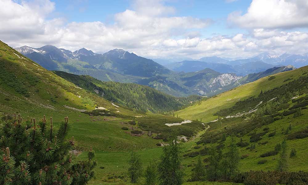 Geierkogel