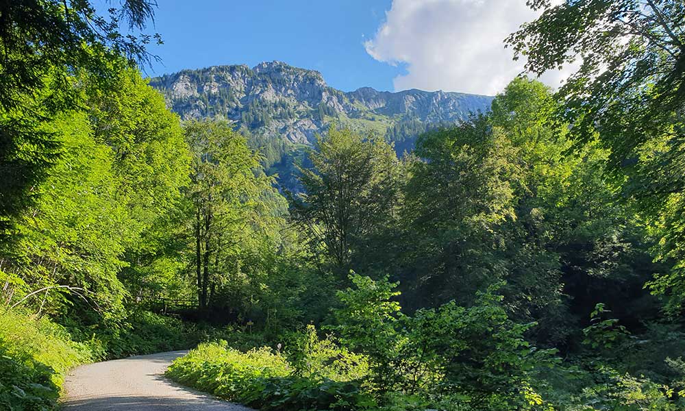 Stadelfeldschneid