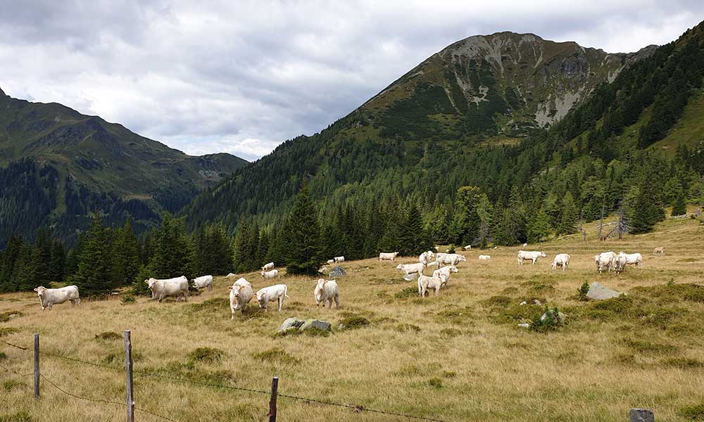 Knaudahkogel