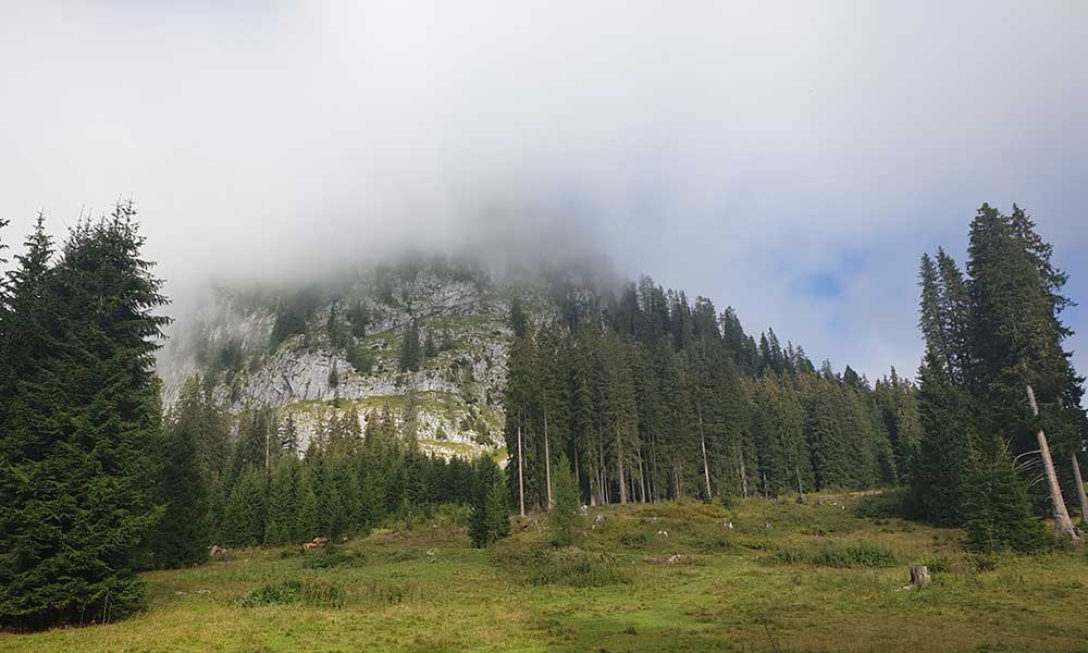 Schafberg