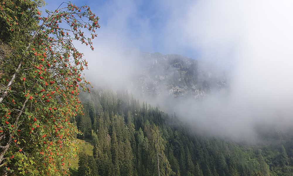 Schafberg