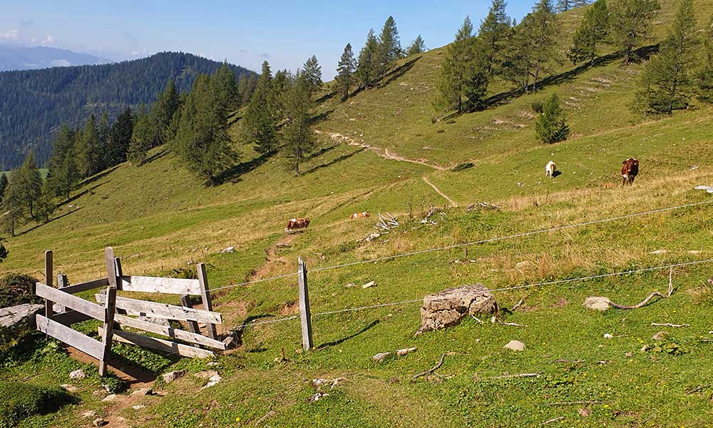 Jungfrauensteig