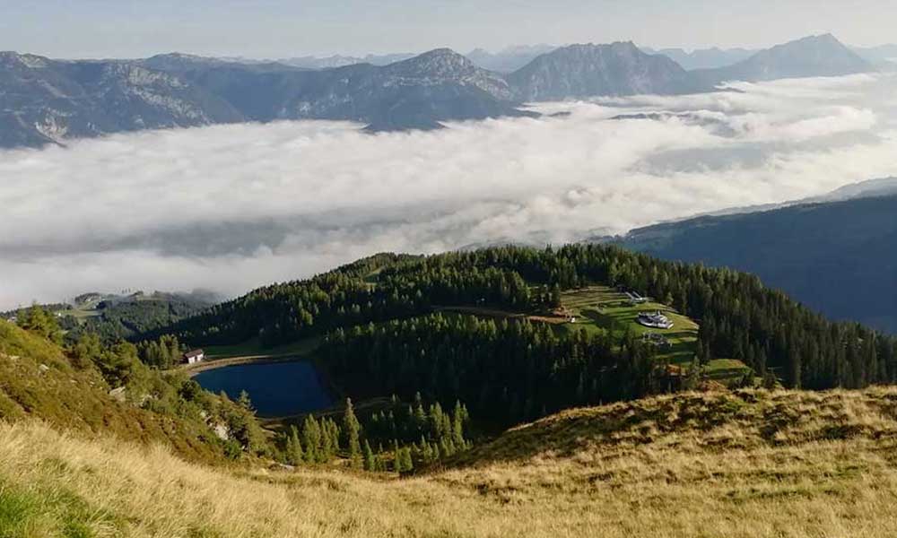 Bärfallspitze