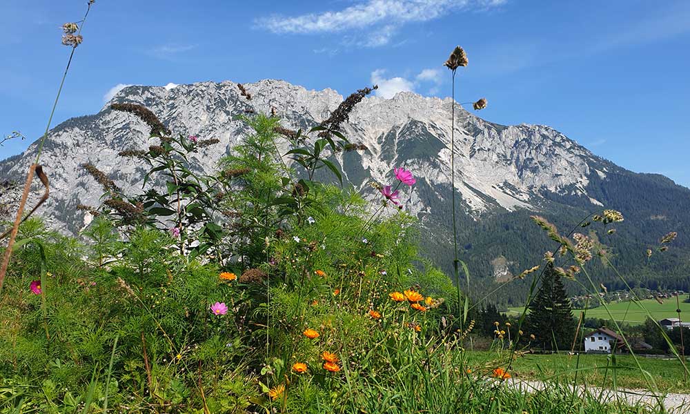 Freienstein