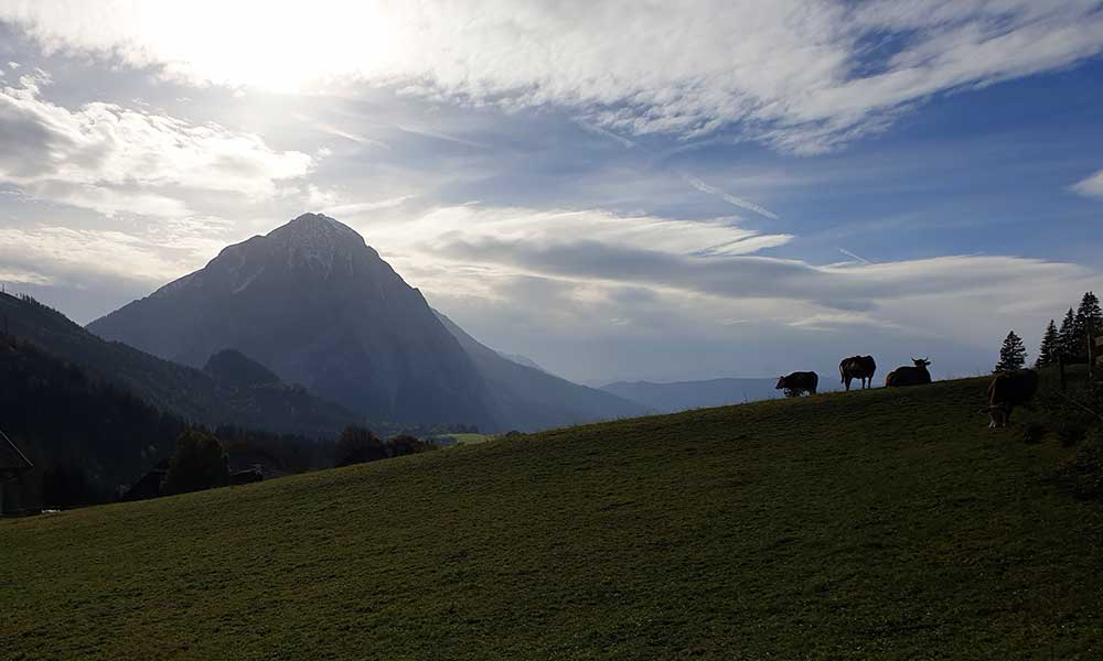 hechlstein