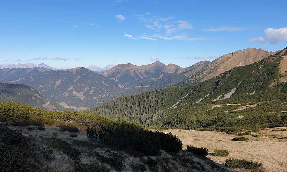 Mödringkogel