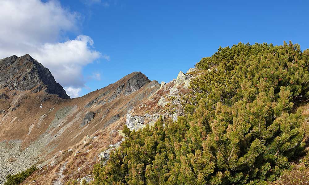 Mödringkogel