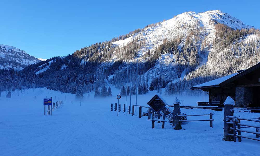 Scheibenkogel