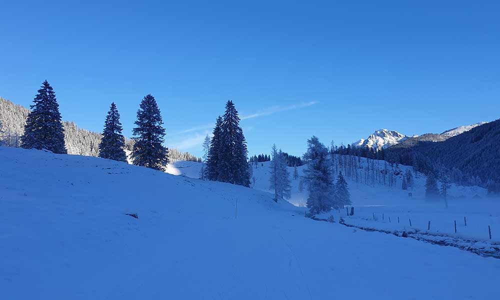 Scheibenkogel