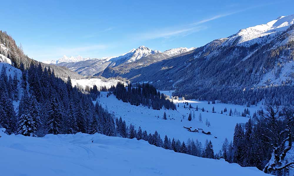 Scheibenkogel