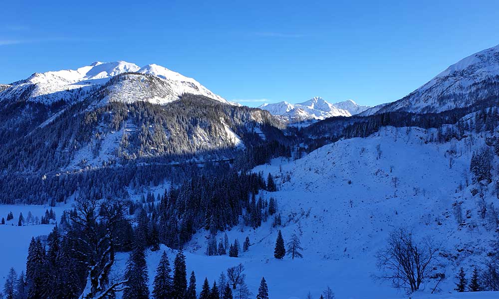 Scheibenkogel