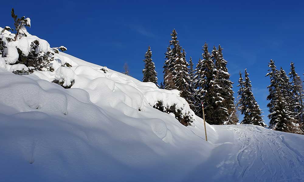 Scheibenkogel