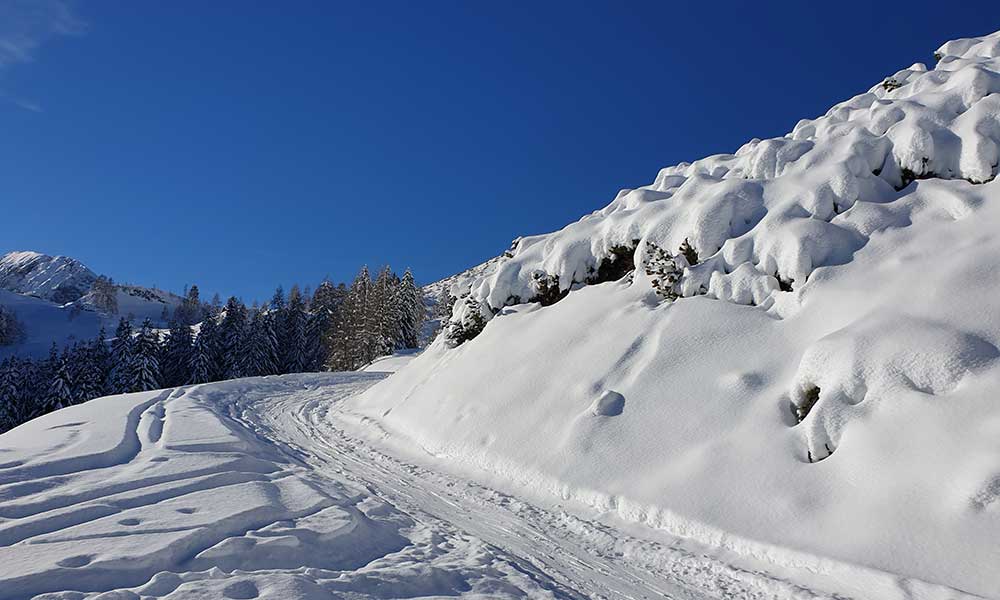 Scheibenkogel