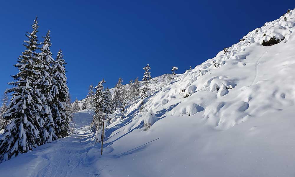 Scheibenkogel