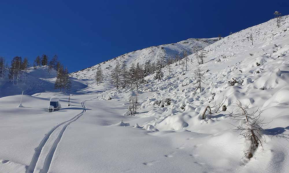 Scheibenkogel