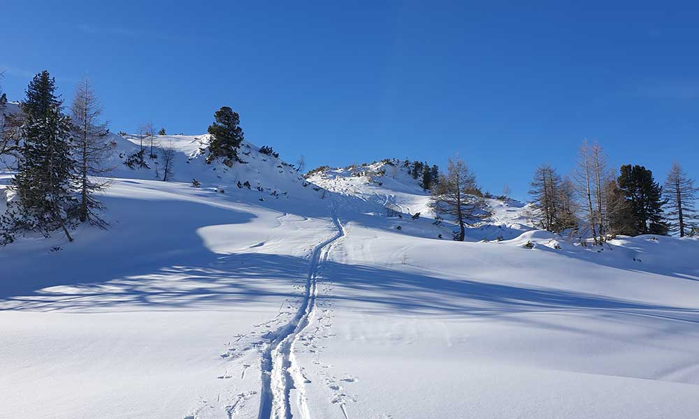 Scheibenkogel