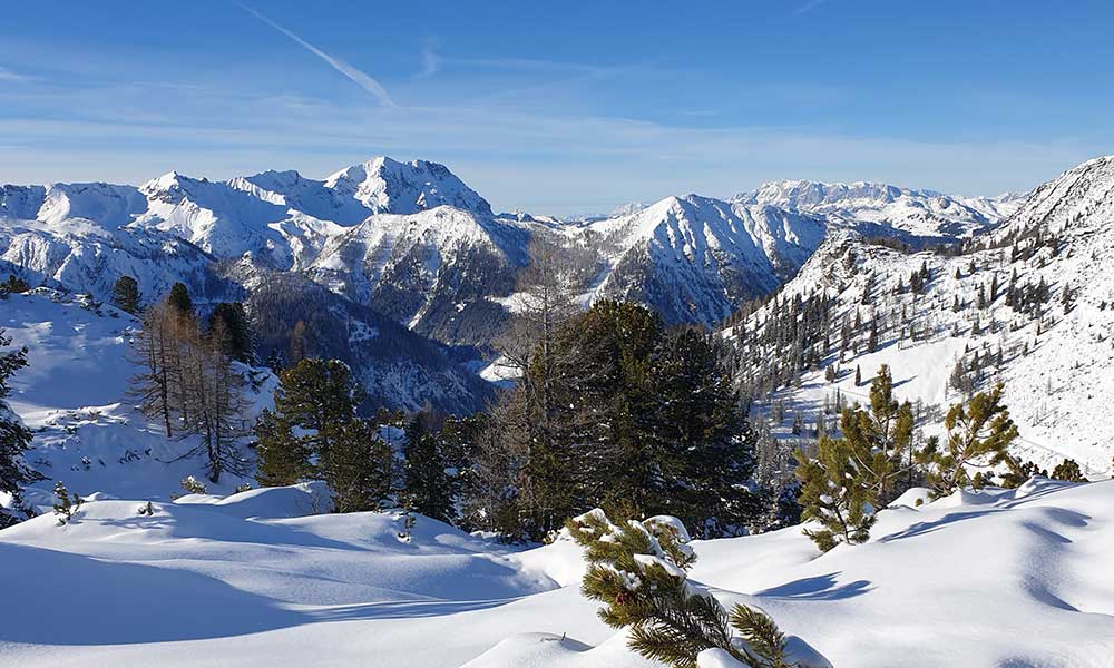 Scheibenkogel