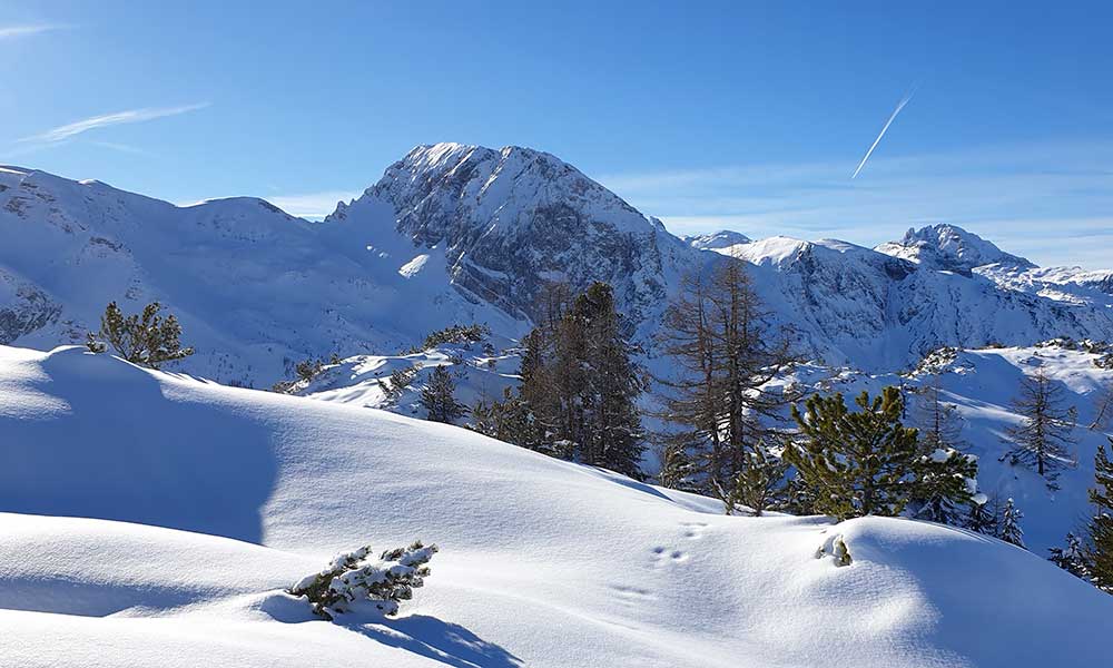 Scheibenkogel