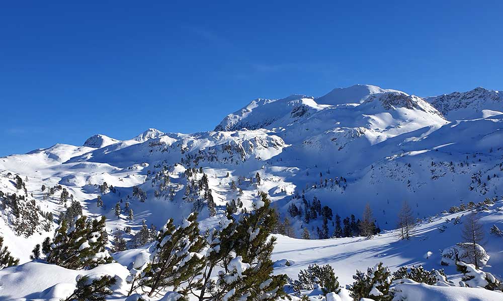 Scheibenkogel