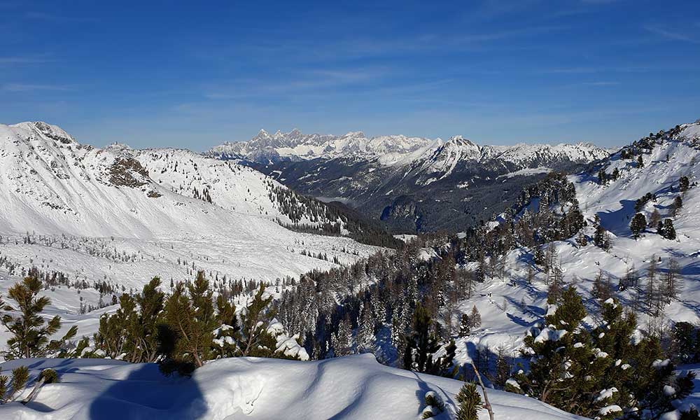 Scheibenkogel