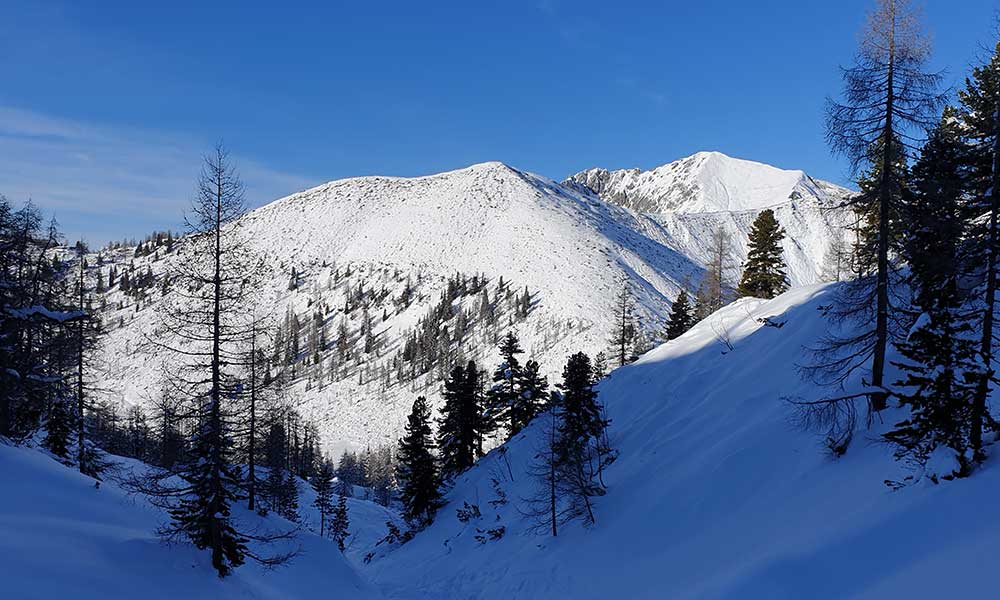 Scheibenkogel