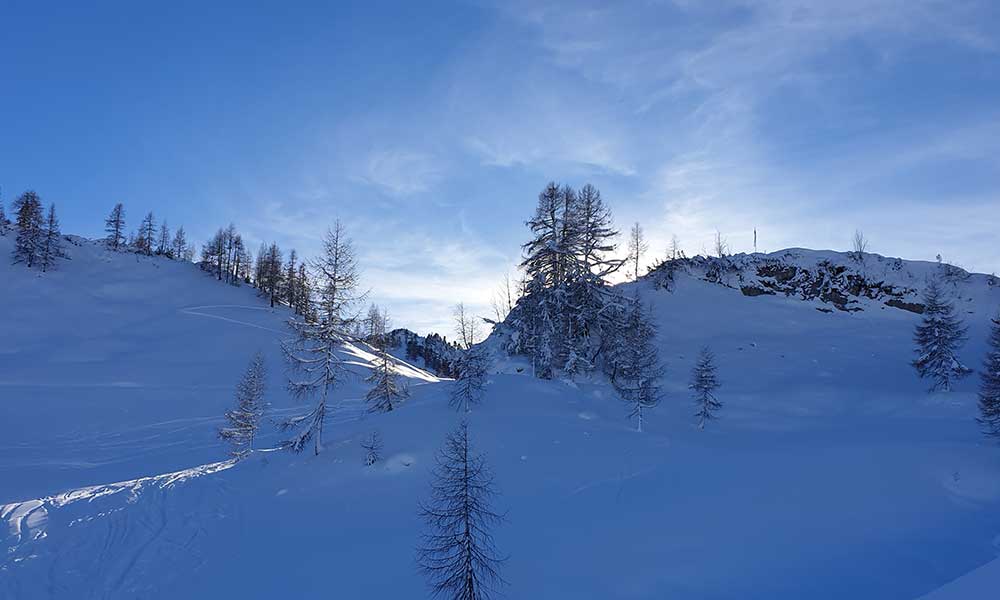 Scheibenkogel