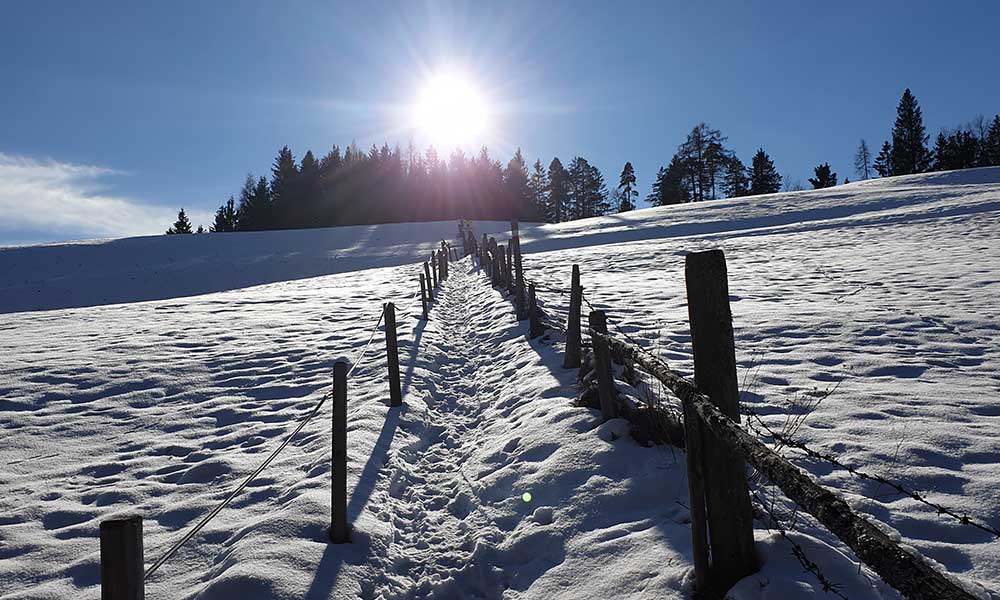 Freienstein