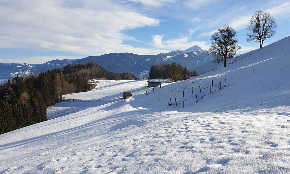 Freienstein