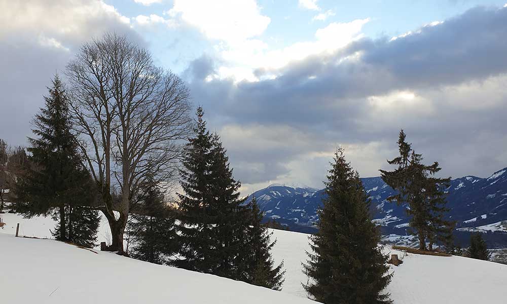 Langpoltneralm