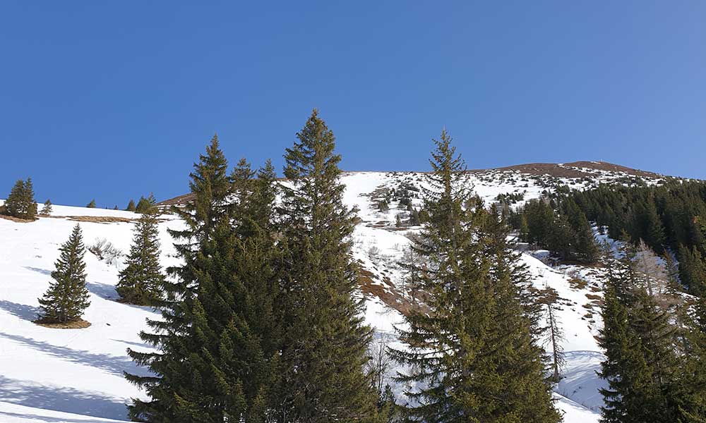 Himmelkogel