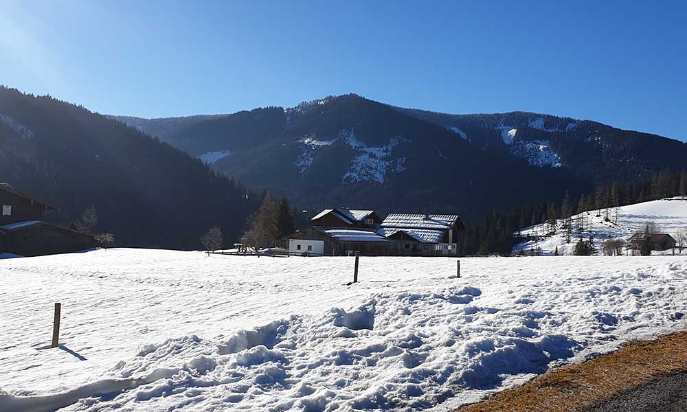 Gerzkopf